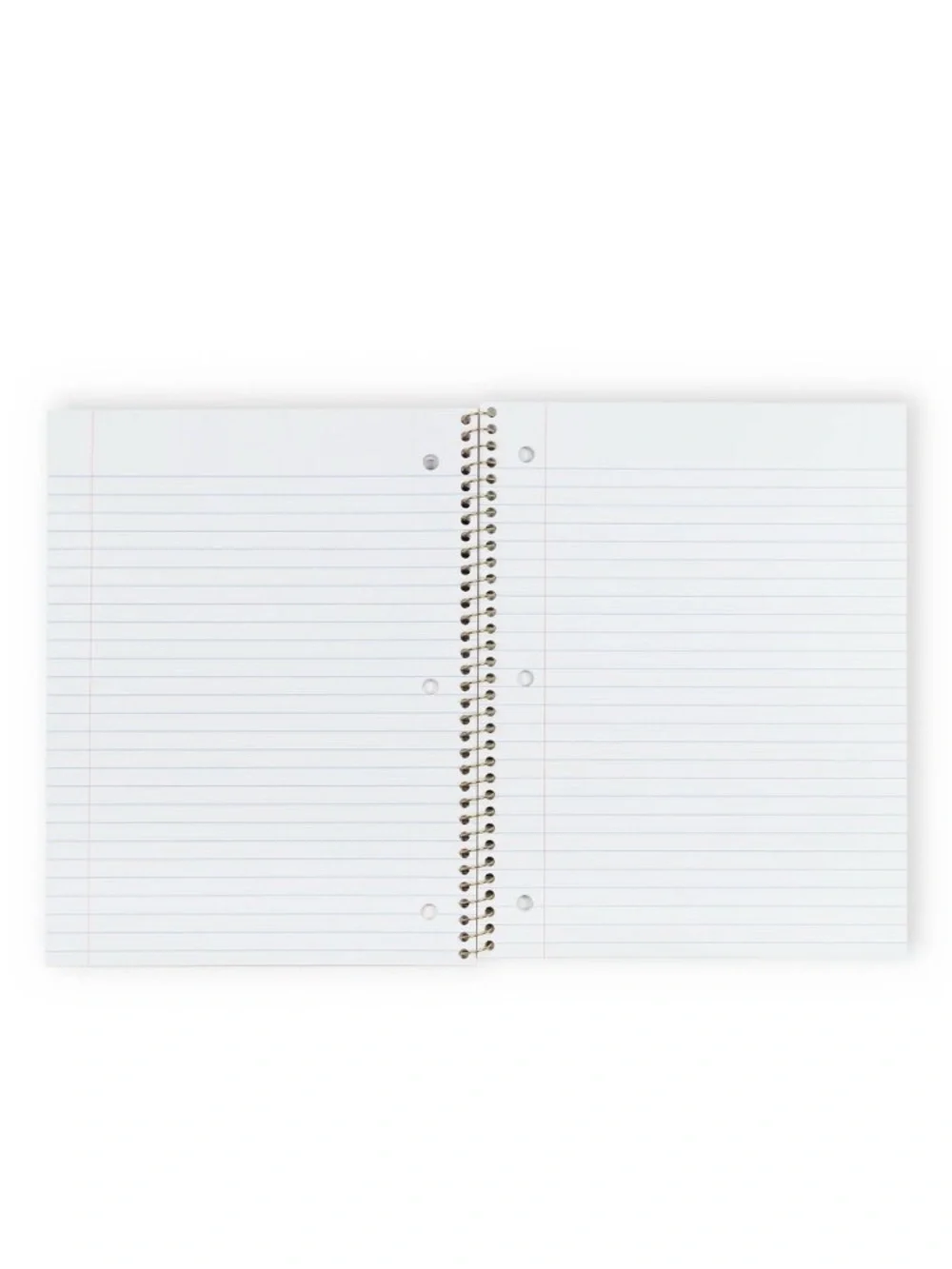 IN-HAND | LoveShackFancy x Target Yoobi Ikat Rose Spiral Notebook
